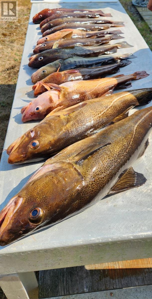 Property 9 of 35 of Dover Road