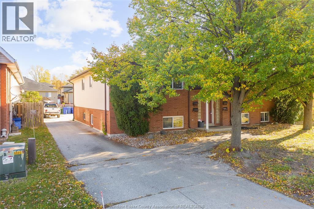 1970 DAYTONA photo 5