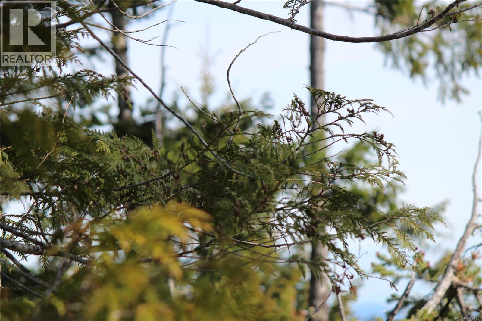 LOT 32 Goldstream Heights Dr — photo 28