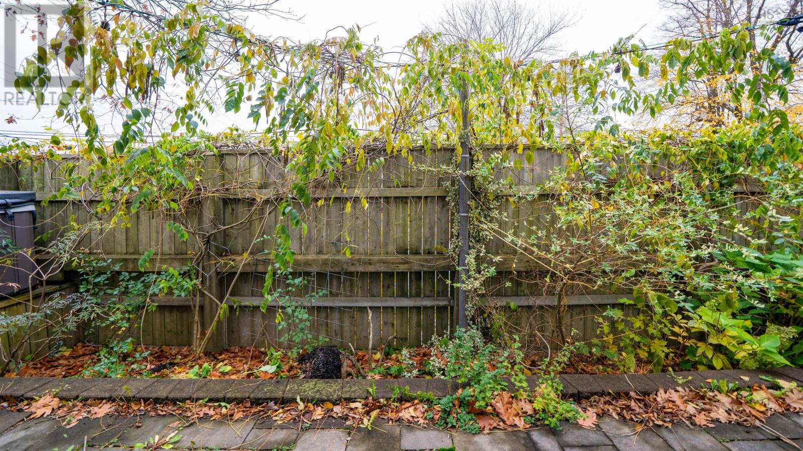 Property 45 of 50 of 132 Prince Albert Road