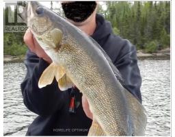 File 227 North Spirit Lake, Kenora, ON P0V2G0 Photo 15