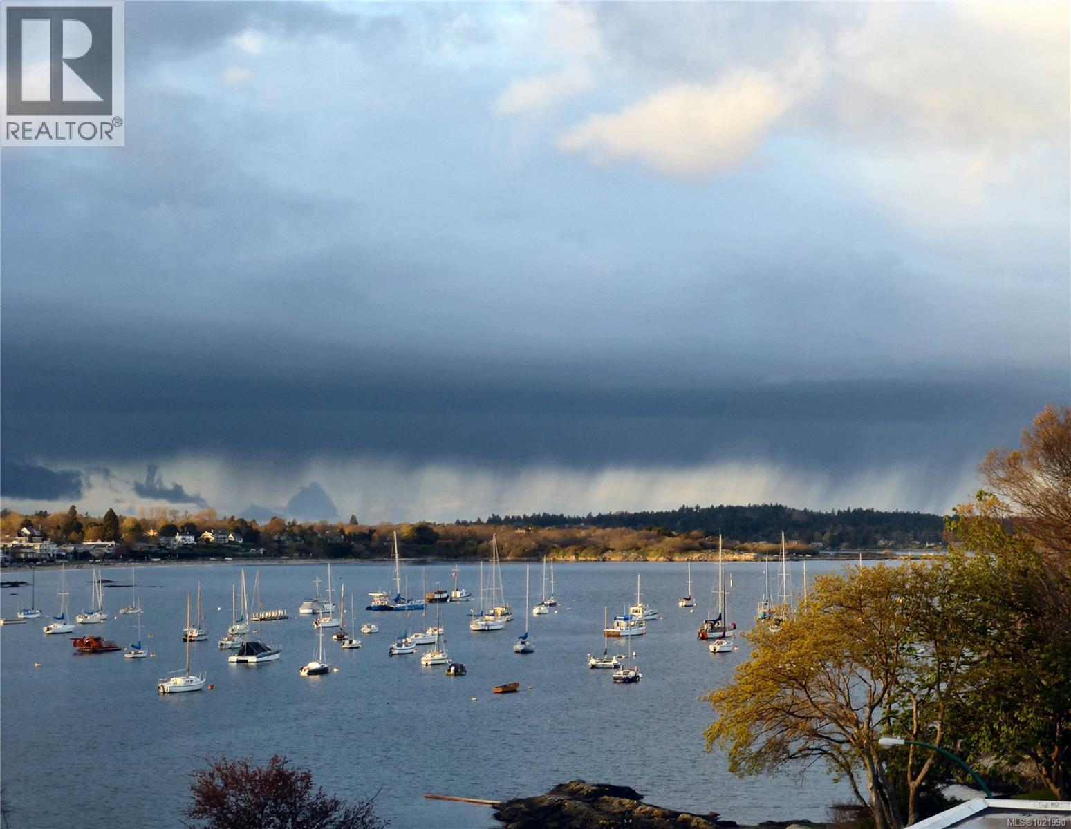 503 2605 Windsor Road, Oak Bay