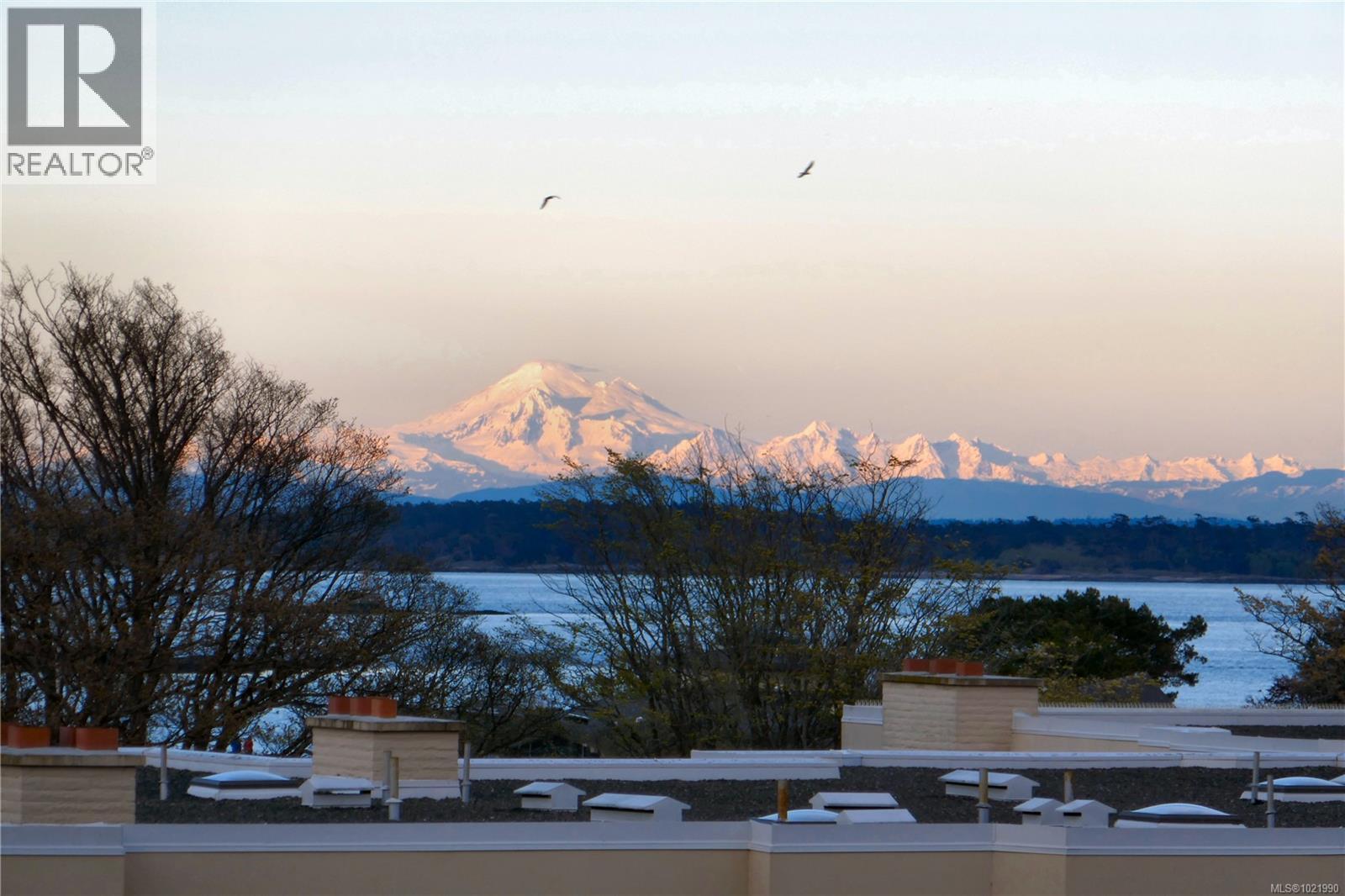 503 2605 Windsor Road, Oak Bay