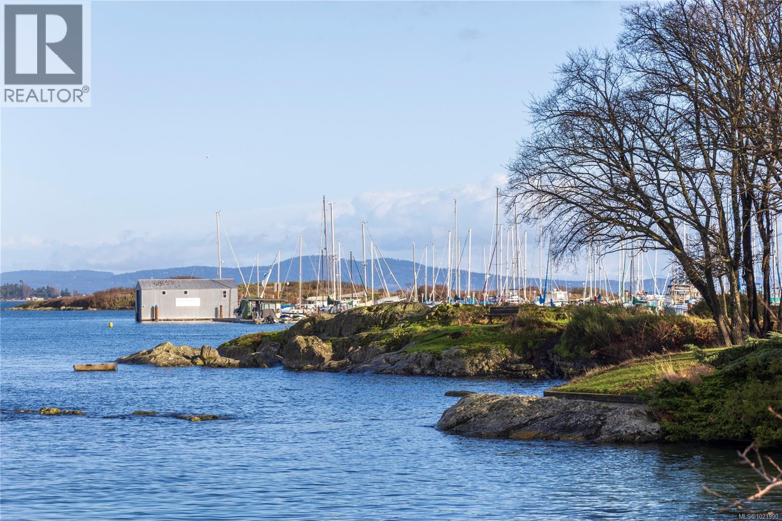 503 2605 Windsor Road, Oak Bay