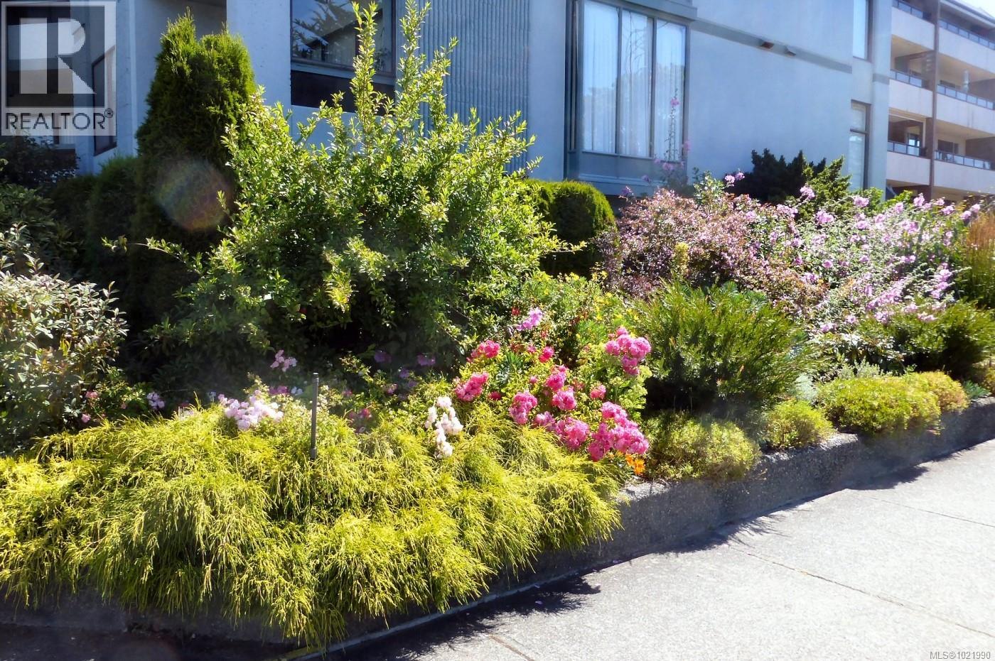 503 2605 Windsor Road, Oak Bay