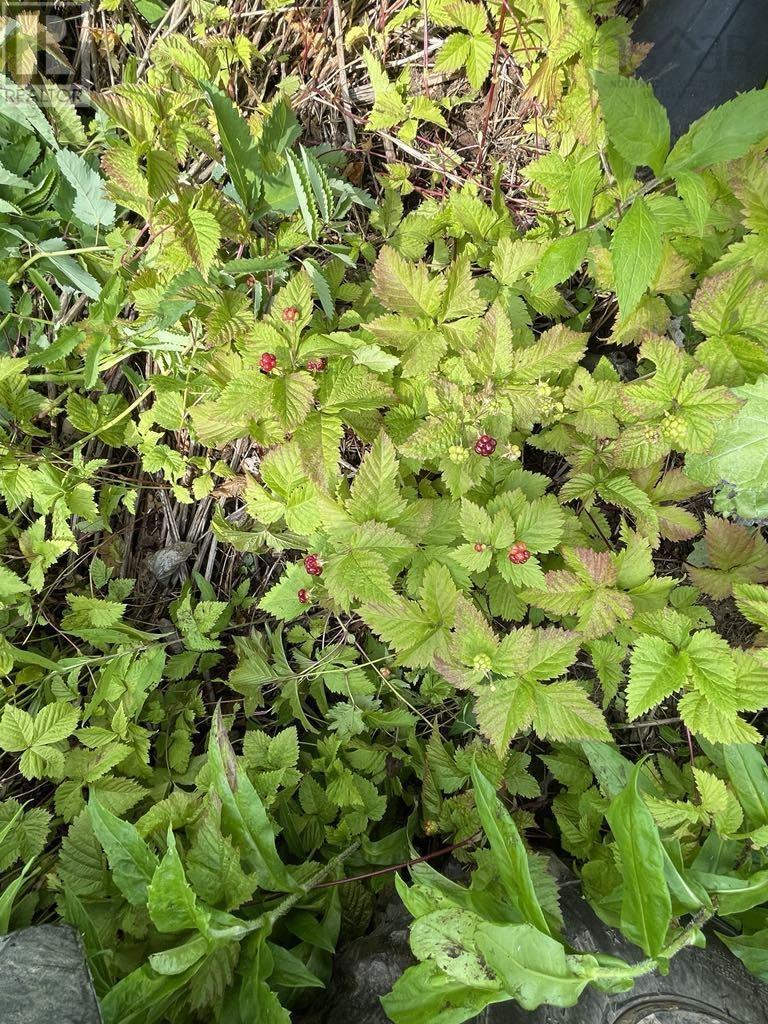 Property 17 of 47 of 230 Arsenaults Hill Road