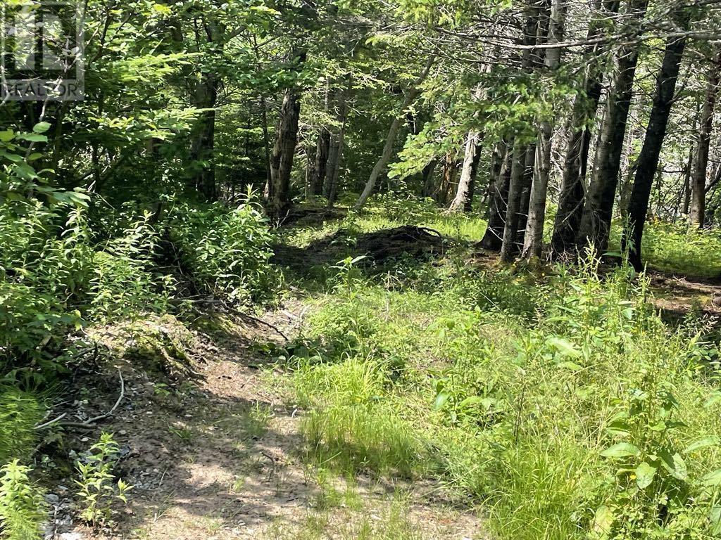 Property 20 of 47 of 230 Arsenaults Hill Road