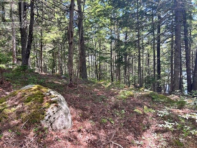 Property 18 of 25 of 1235 Woodstock Road