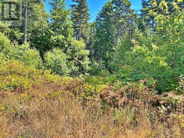 Property 16 of 25 of 1235 Woodstock Road