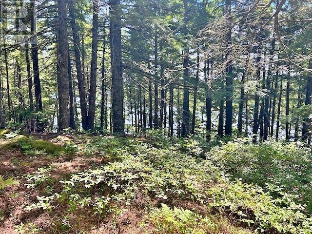 Property 19 of 25 of 1235 Woodstock Road