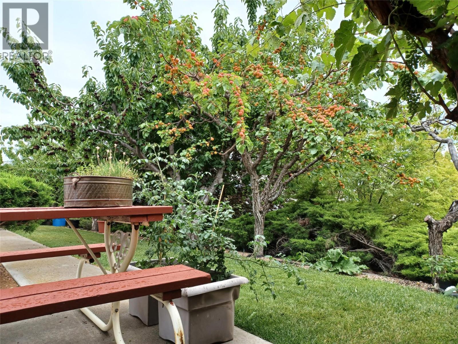 8911 92ND Avenue Unit# 104, Osoyoos