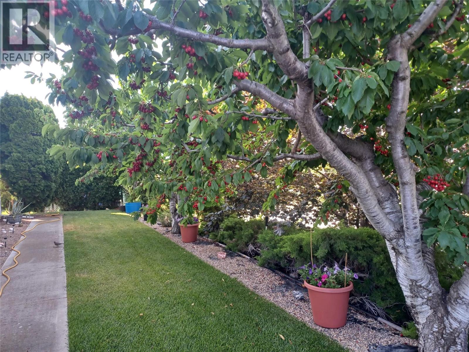 8911 92ND Avenue Unit# 104, Osoyoos