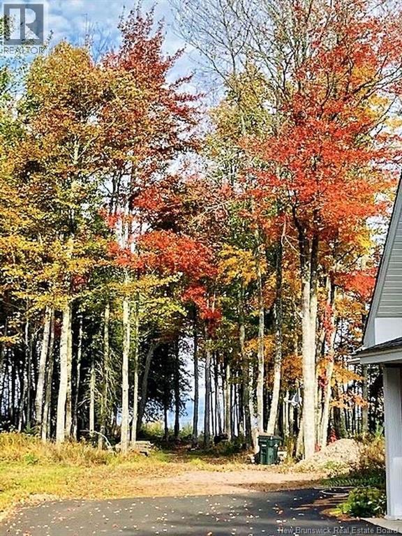 120 Hayesey Lane - 24