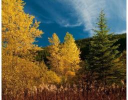 70901 Old Hope Princeton Highway, Sunshine Valley, Sunshine Valley, BC V0X1L5 Photo 26