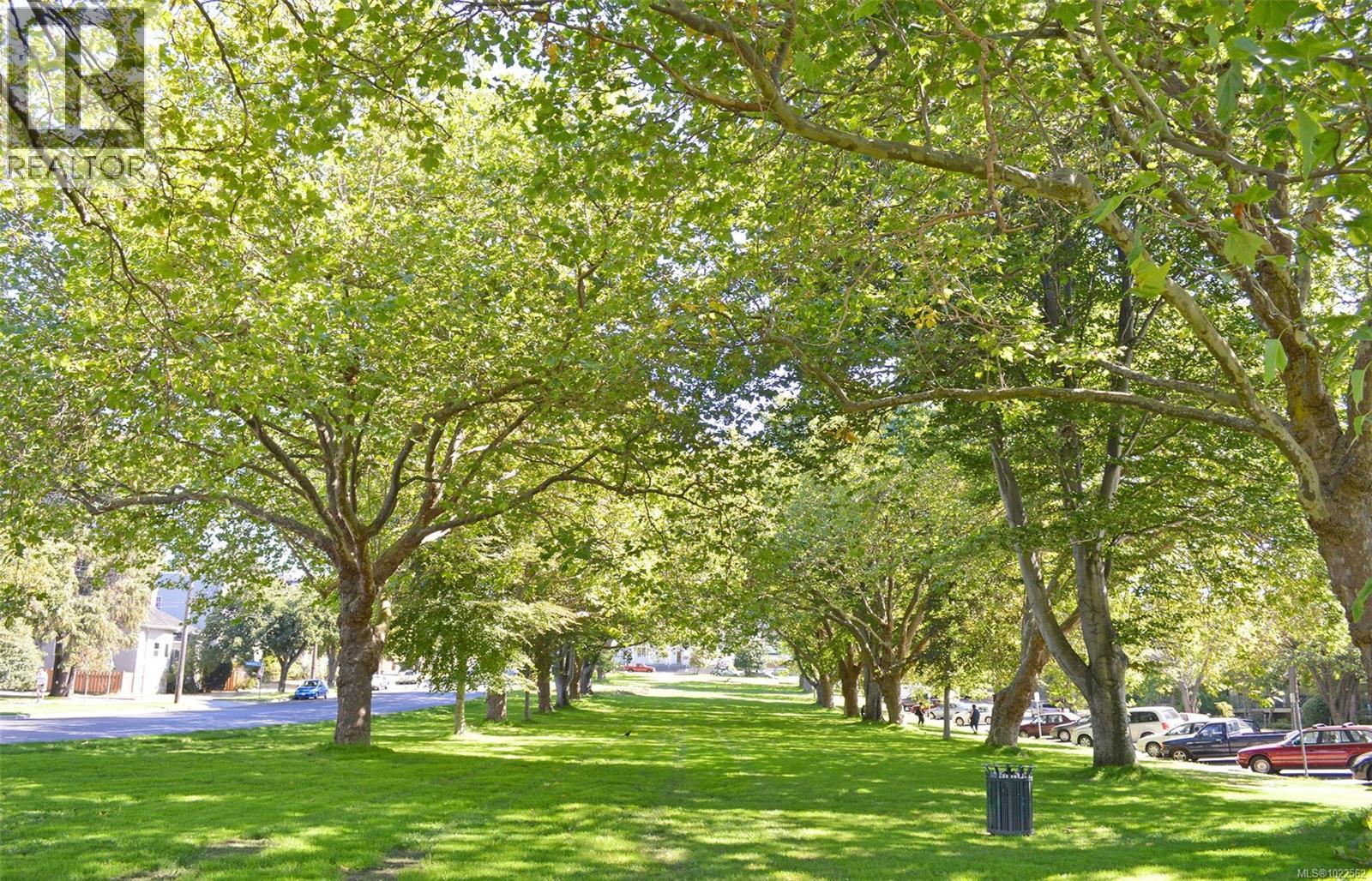 #502 1010 VIEW ST - 35