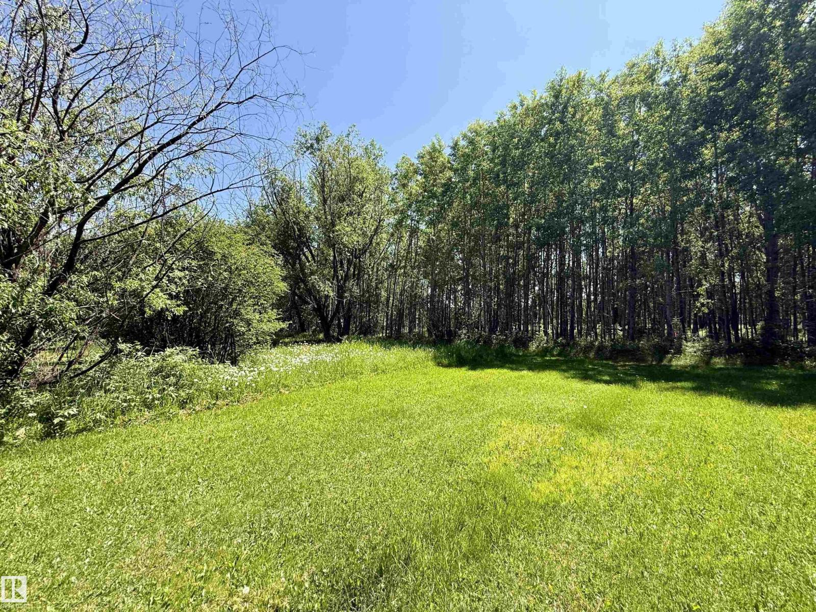 507 LAKESHORE DRIVE BUCK LAKE - 15