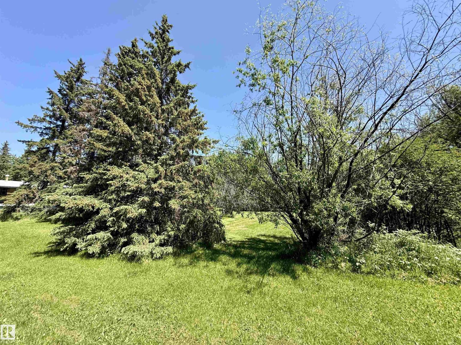 507 LAKESHORE DRIVE BUCK LAKE - 16