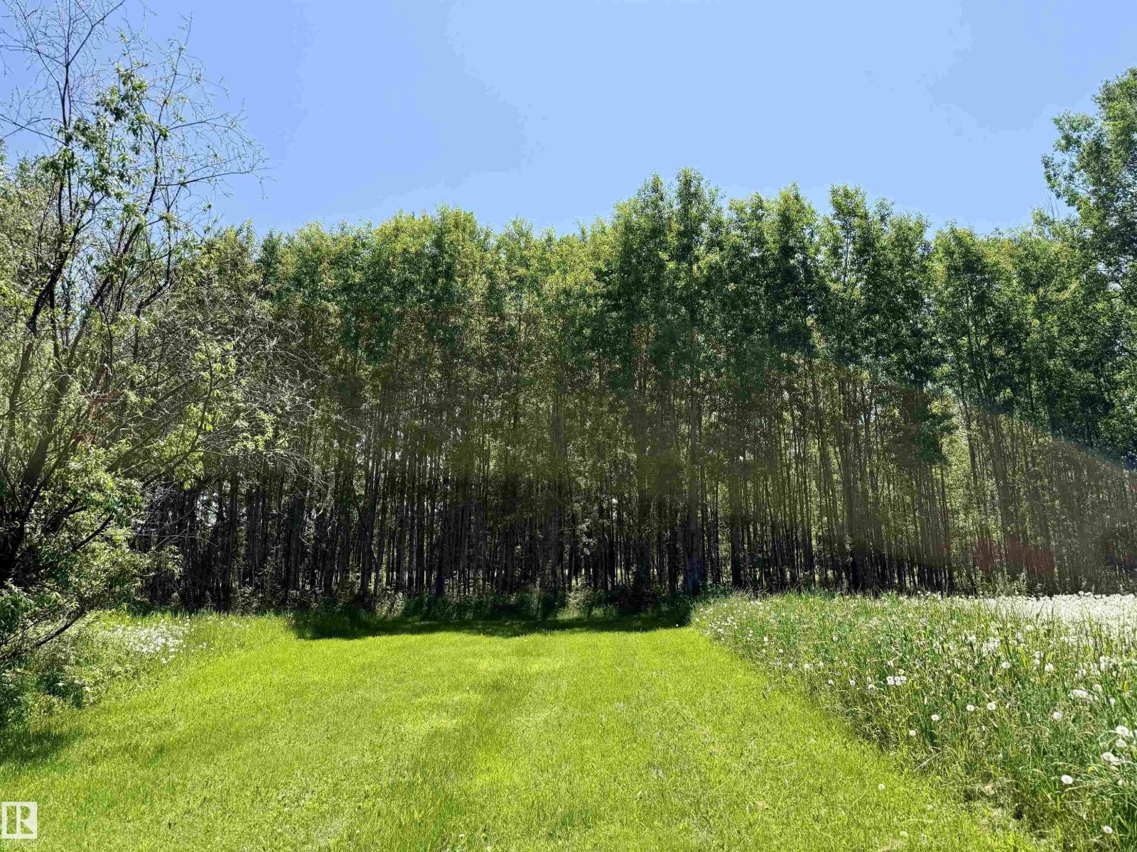 507 LAKESHORE DRIVE BUCK LAKE - 17