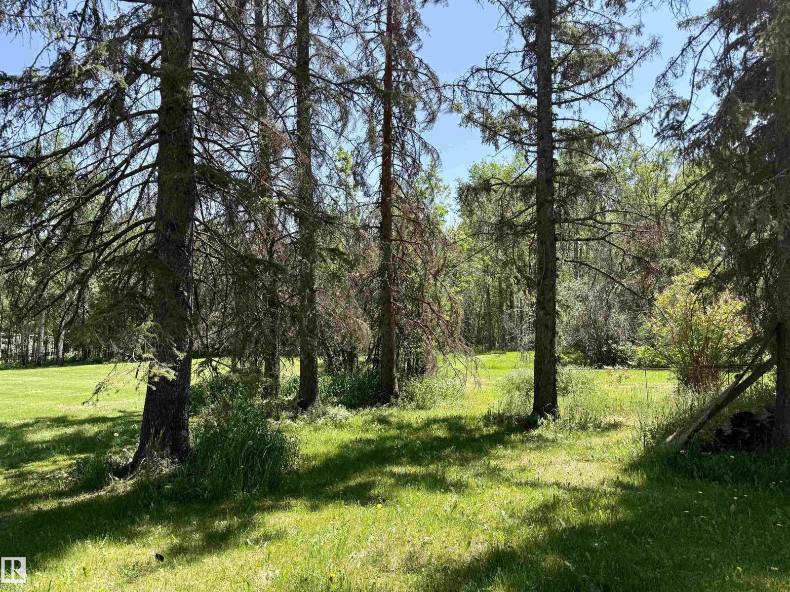 507 LAKESHORE DRIVE BUCK LAKE - 18