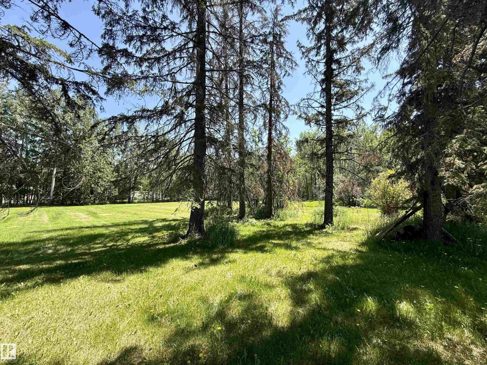 507 LAKESHORE DRIVE BUCK LAKE - 19