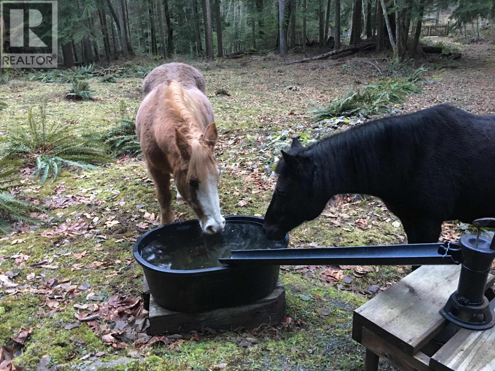 Lot 8 MOUNTAIN ROAD, Gambier Island