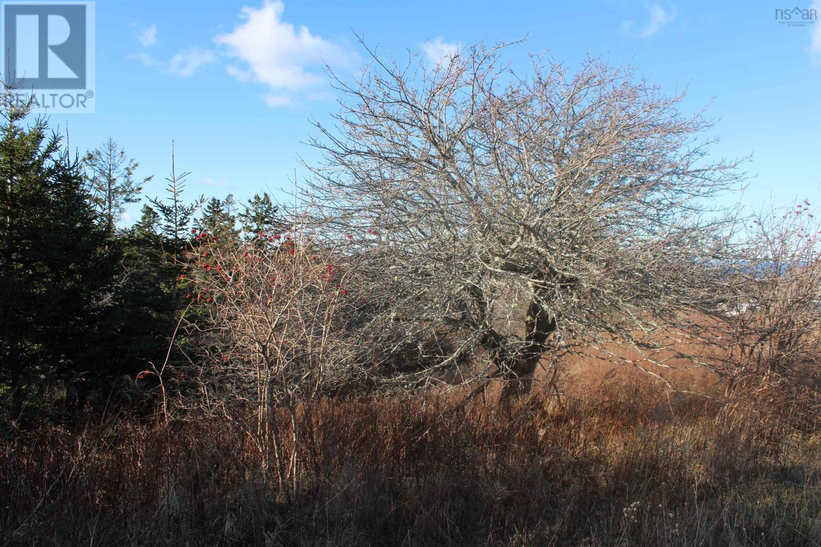 Property 34 of 37 of 9230 St Croix Cove Road