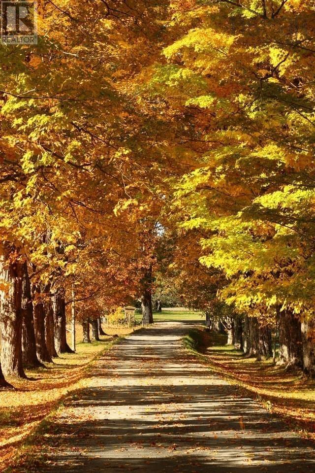 Property 14 of 22 of 792 Bligh Road