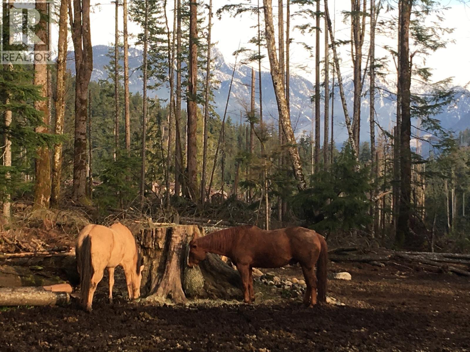 2236 MOUNTAIN ROAD, Gambier Island