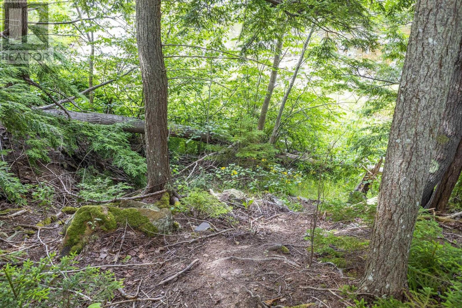 Property photo of River Road