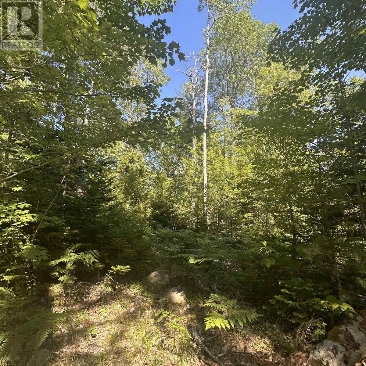 Property 4 of 9 of Lot (PID 70241864) Wellington Road