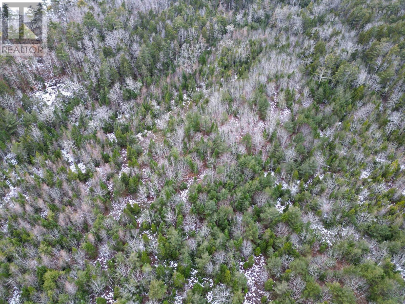 Property 2 of 5 of Lot 73 Judy Avenue