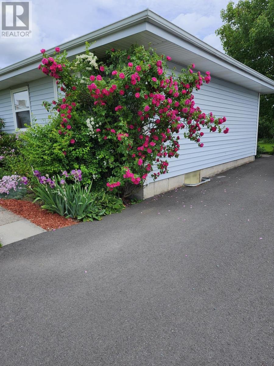 Property 4 of 36 of 22 MacDougall