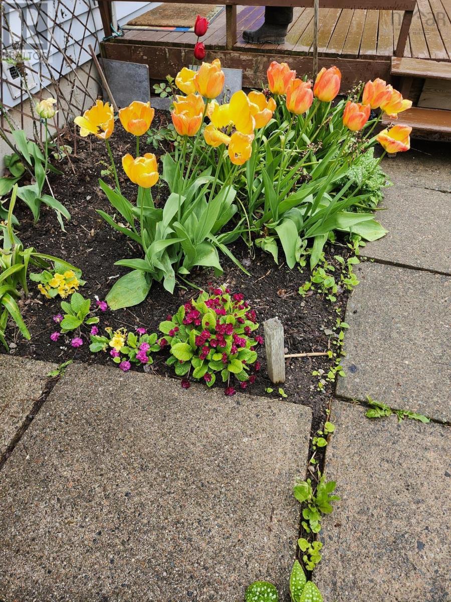 Property 35 of 36 of 22 MacDougall