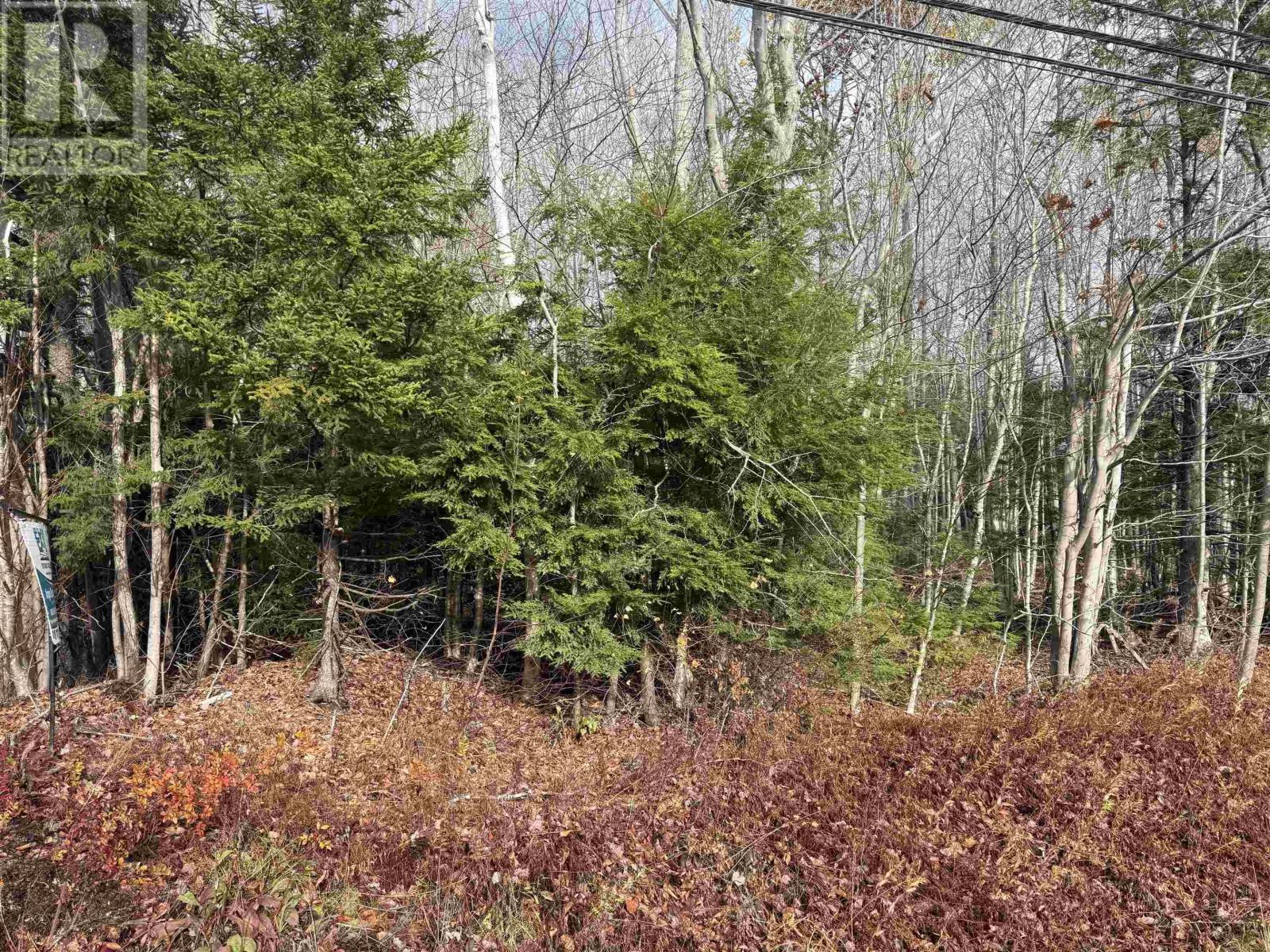 Property 2 of 4 of Lot (PID 60421732) Highway 325