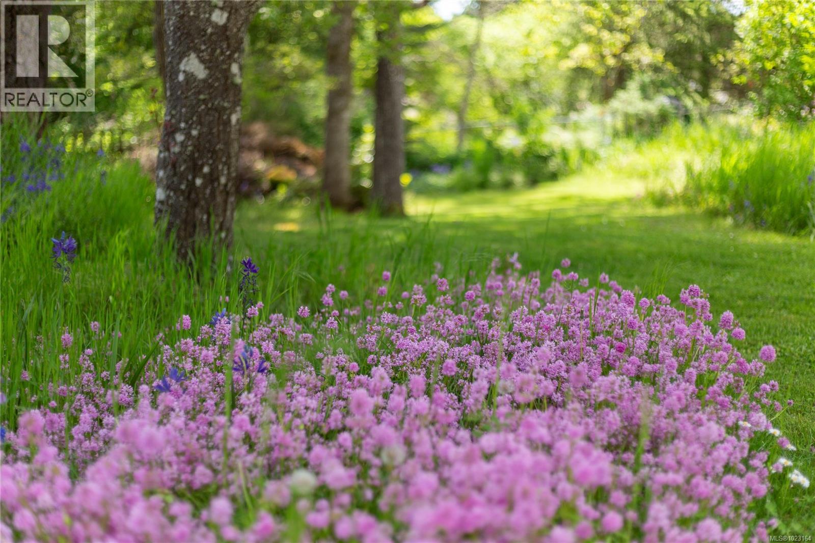  3815 Wilkinson Road, Saanich