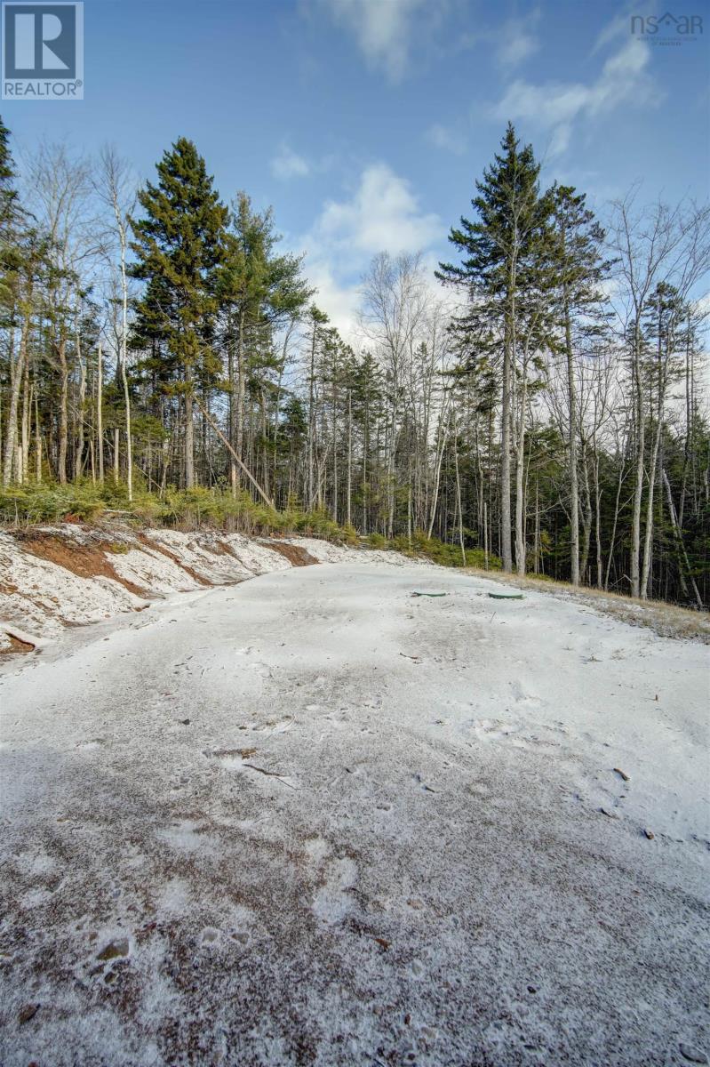 Property 44 of 49 of Lot 555 115 Quail Ridge