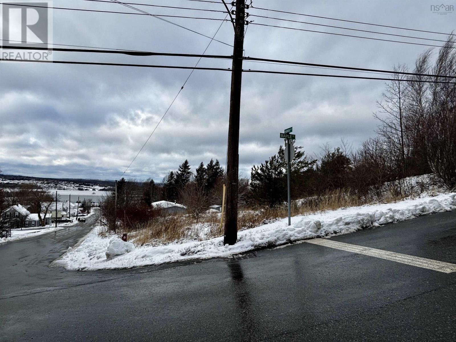 Property 4 of 5 of Lot Forge Street