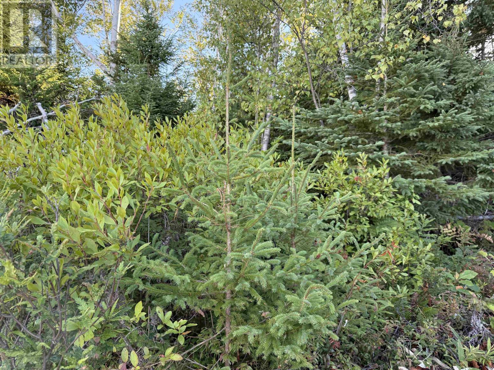 Property 23 of 41 of Lot 1A Pictou Landing Road