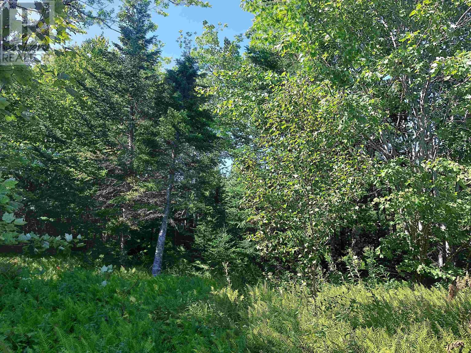 Property 11 of 14 of 45 Joanne Langford Dr