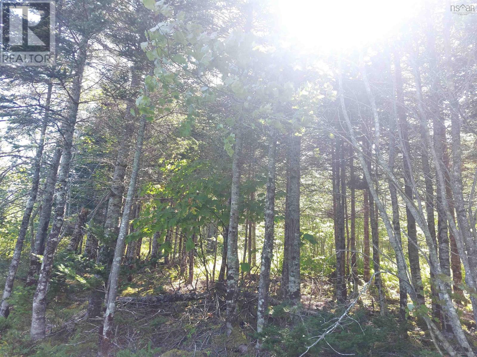 Property 10 of 14 of 45 Joanne Langford Dr