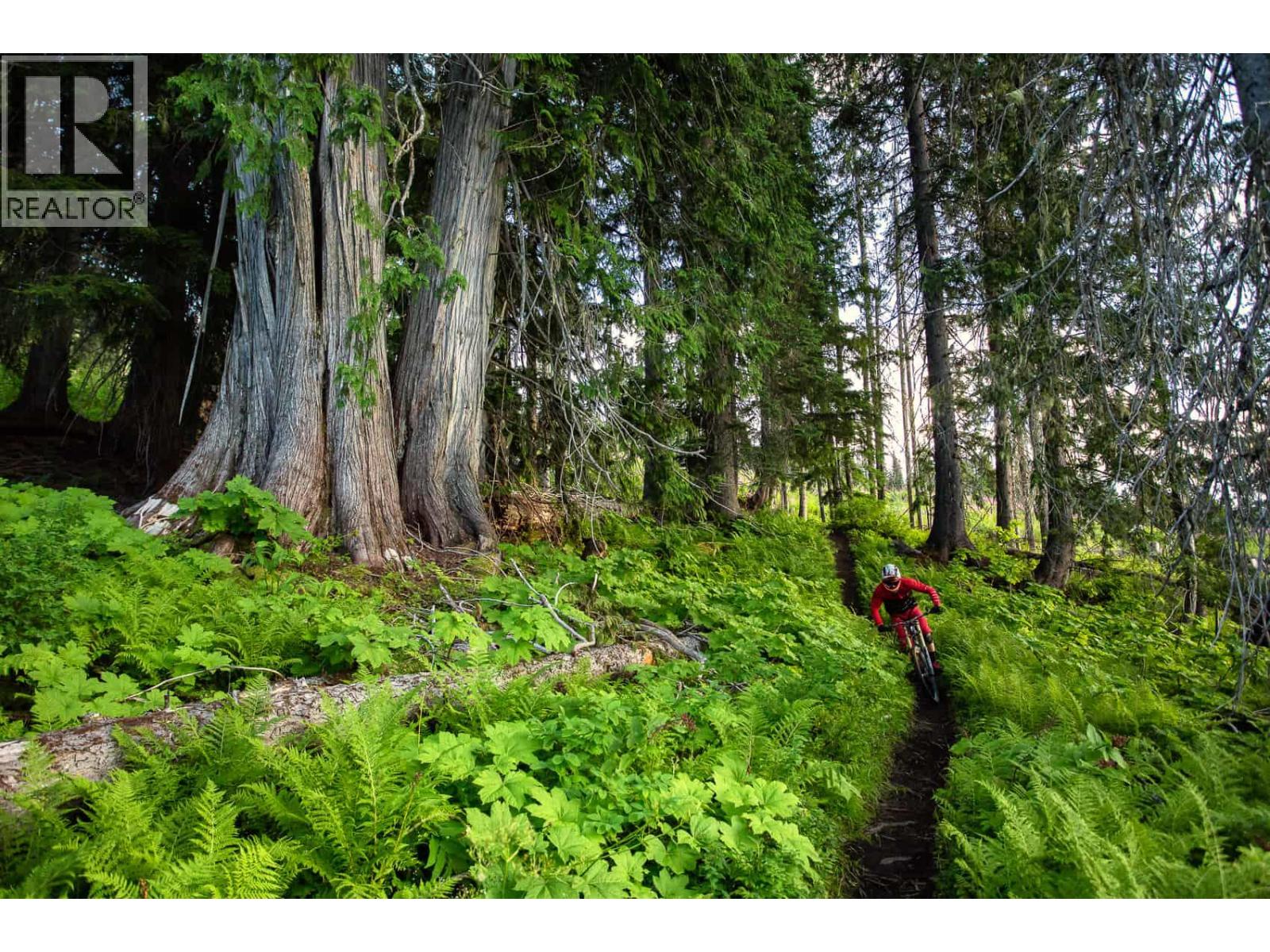  Powerhouse Road, Revelstoke