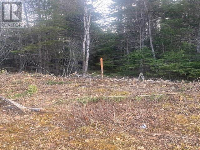 Property 5 of 13 of Salem Road