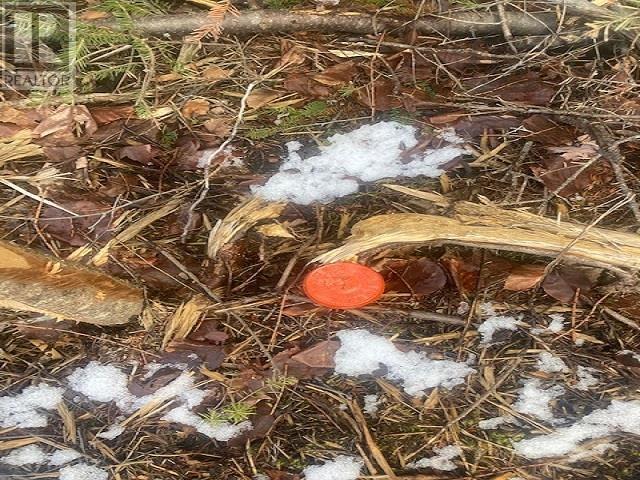 Property 12 of 13 of Salem Road