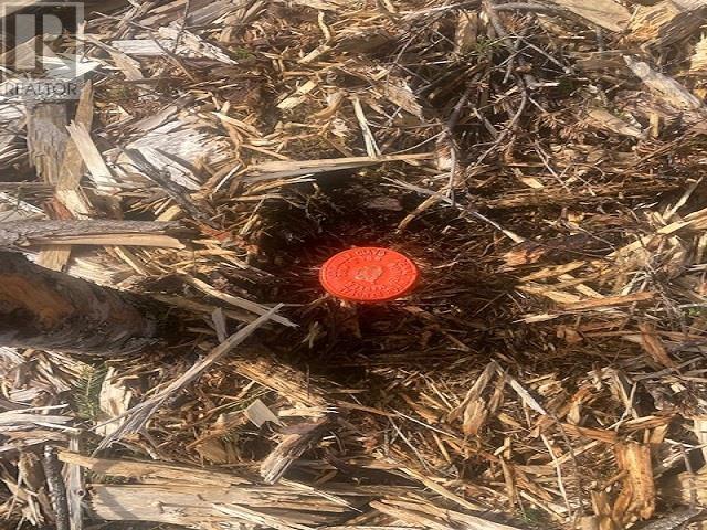 Property 13 of 13 of Salem Road