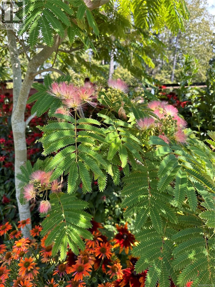 6303 Riverstone Dr, Sooke