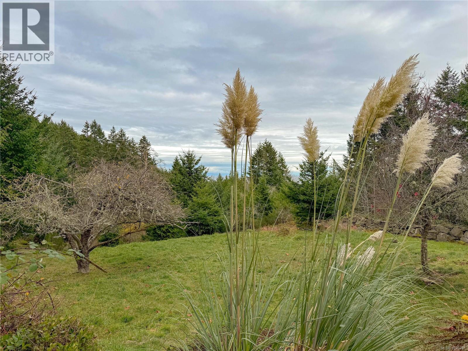 835 CHELWOOD RD - 41