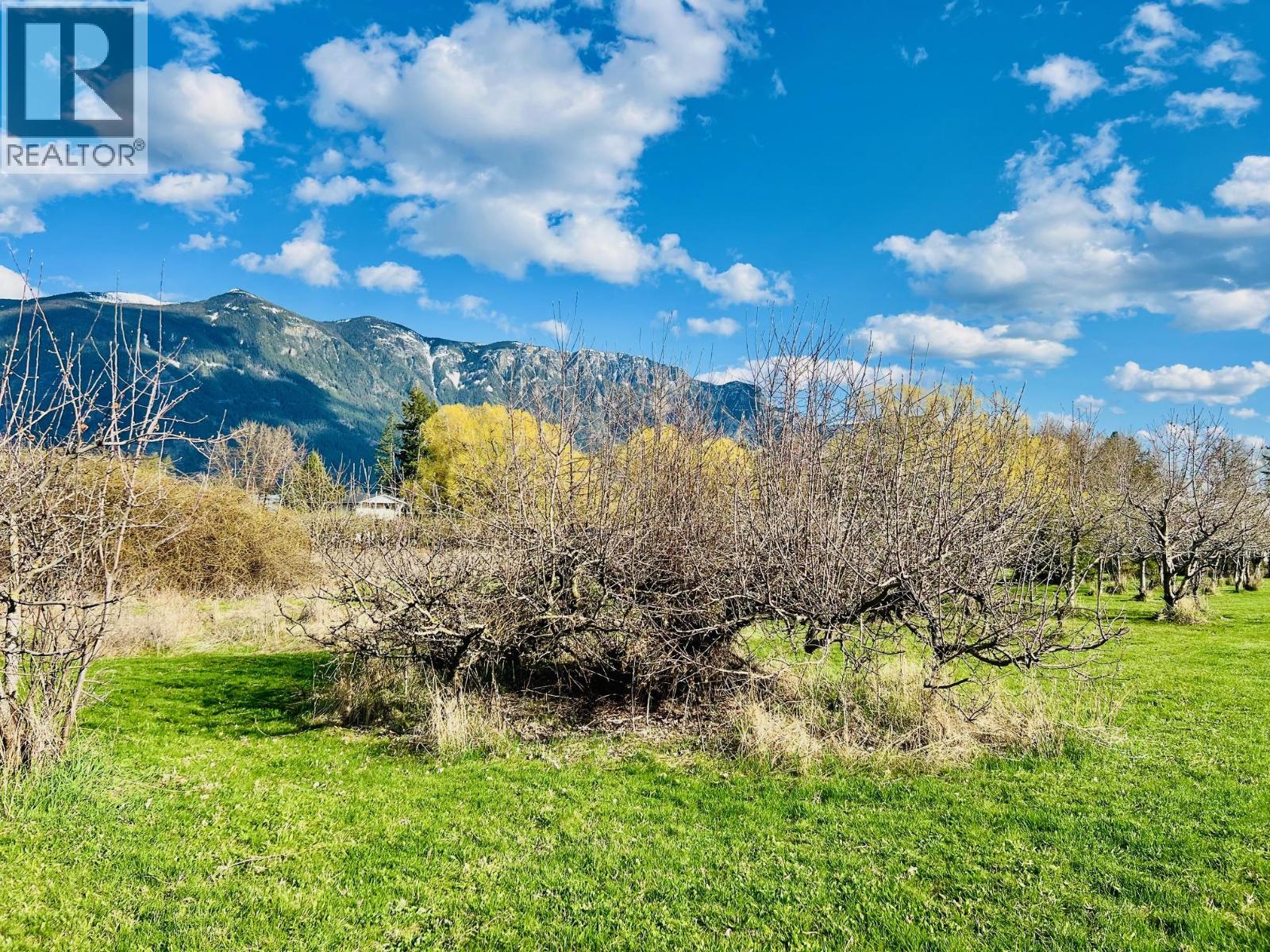 3317 Erickson Road - 31
