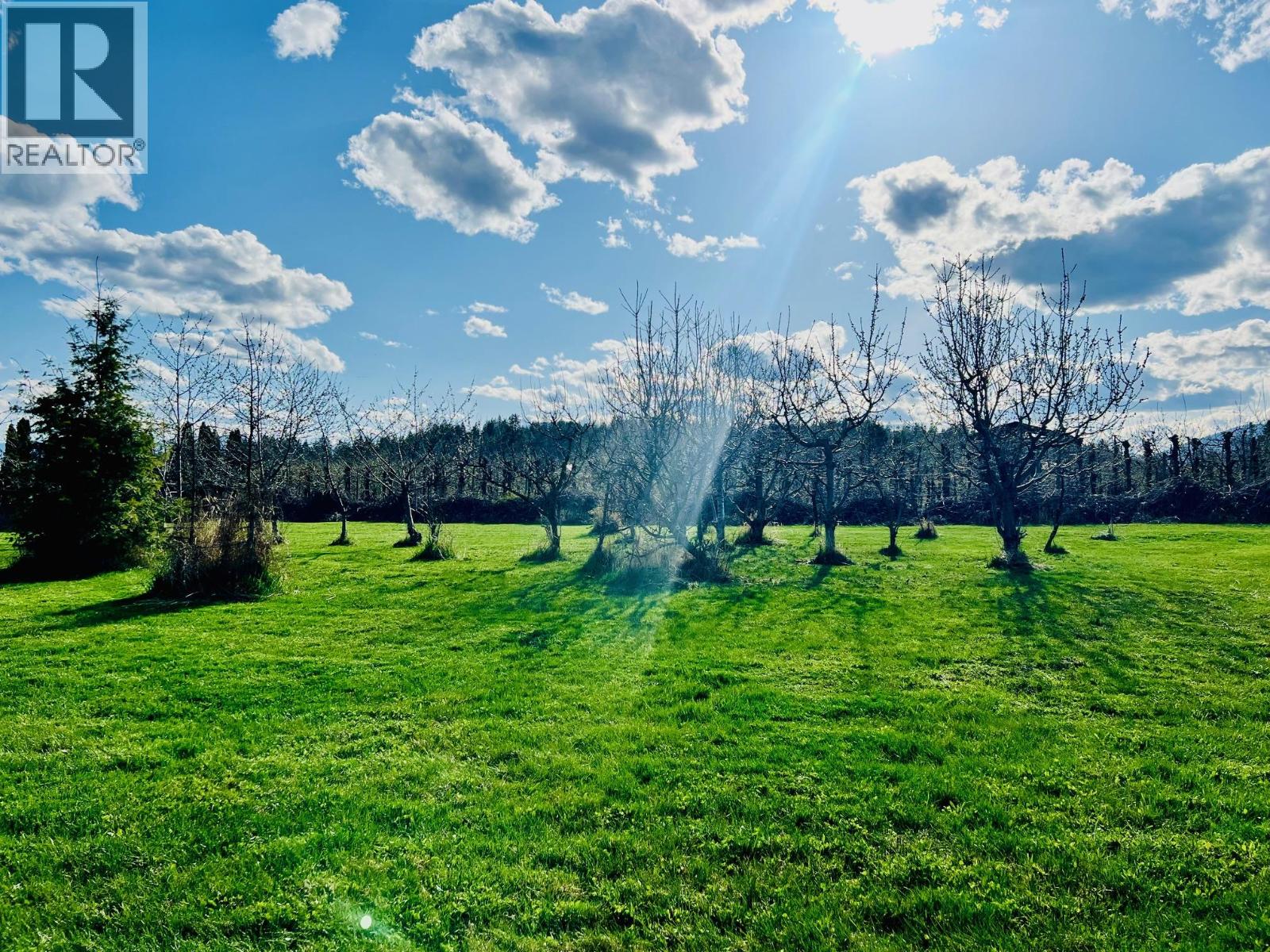 3317 Erickson Road - 37