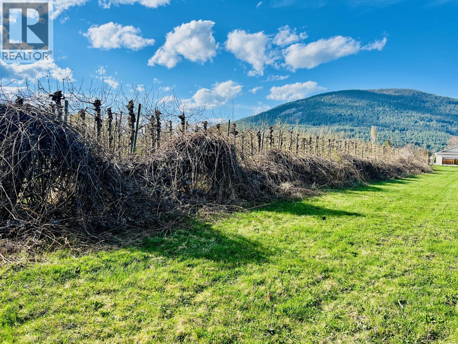 3317 ERICKSON ROAD - 38