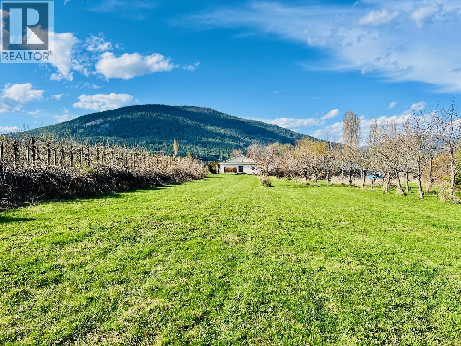3317 Erickson Road - 39